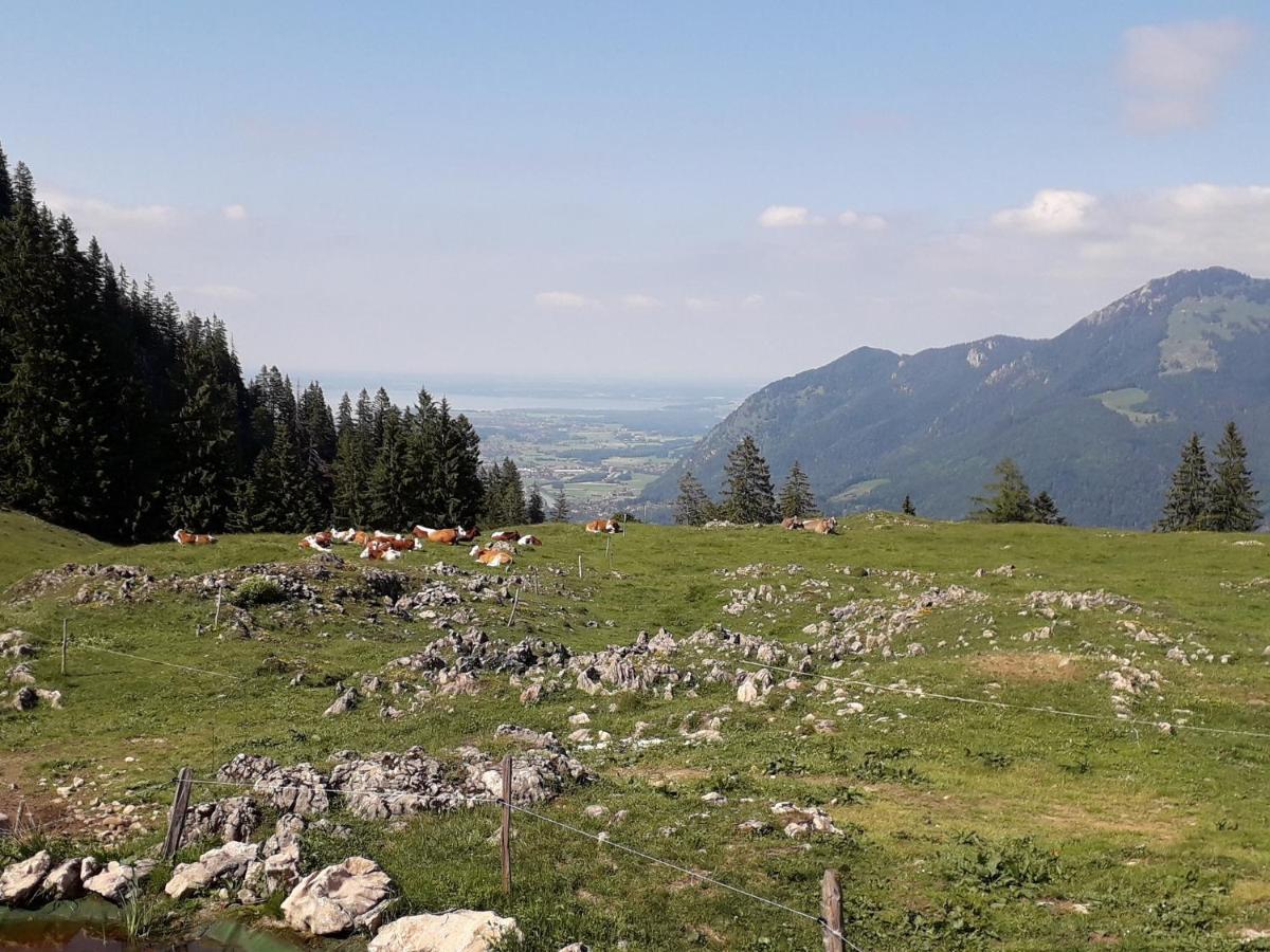 Ferienwohnung Bergzeit Oberwössen Exteriör bild
